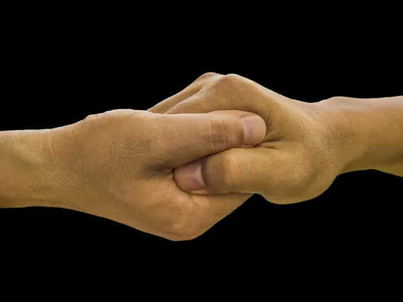 BlueFox Kaszinó Támogatás